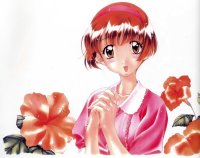 BUY NEW sentimental graffiti - 2468 Premium Anime Print Poster